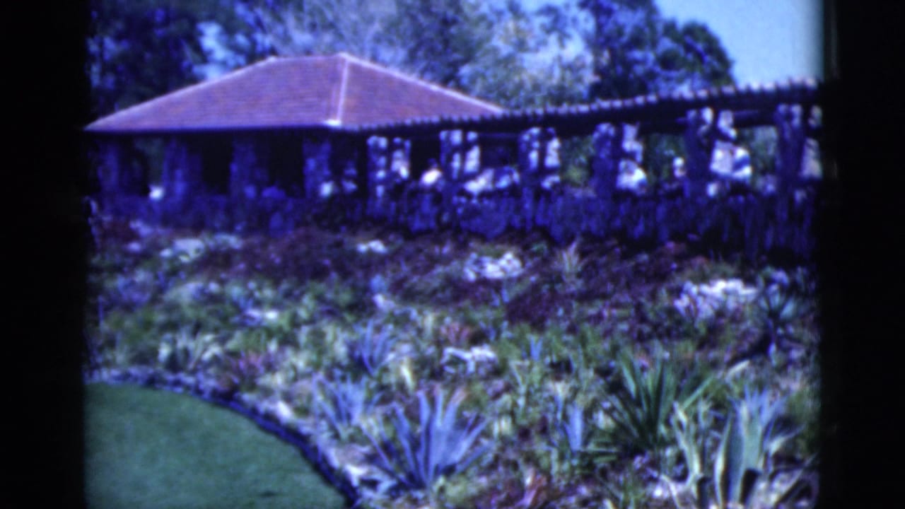 1975 Florida garden scene with a pagoda-style pavilion, terrace figures, trees, and sunlit tropical plants in soft 8mm color.