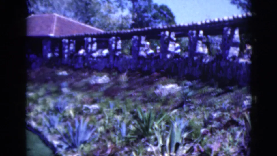 Soft 8mm frame from 1975 Florida showing terrace visitors above a planted garden bed with broad tropical leaves and lawn at left.