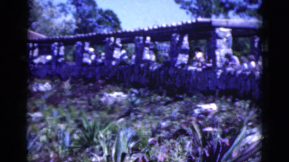 1975 Florida home-movie still with visitors on a stone terrace, dense tropical plants, trees, and a red-roofed pavilion partly visible.