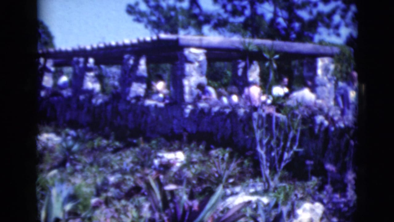1975 Florida home-movie view of visitors gathered around a stone pergola, partly obscured by tropical landscaping.