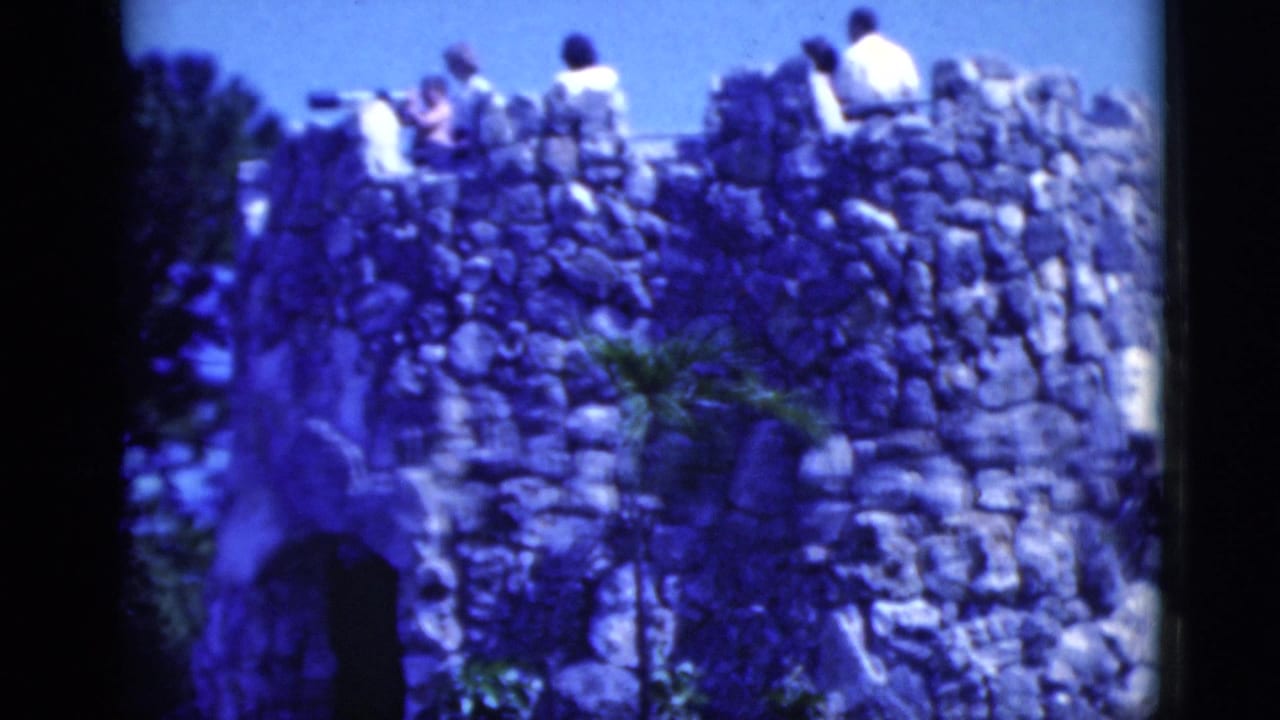 Visitors stand on artificial rockwork above a landscaped flamingo habitat.