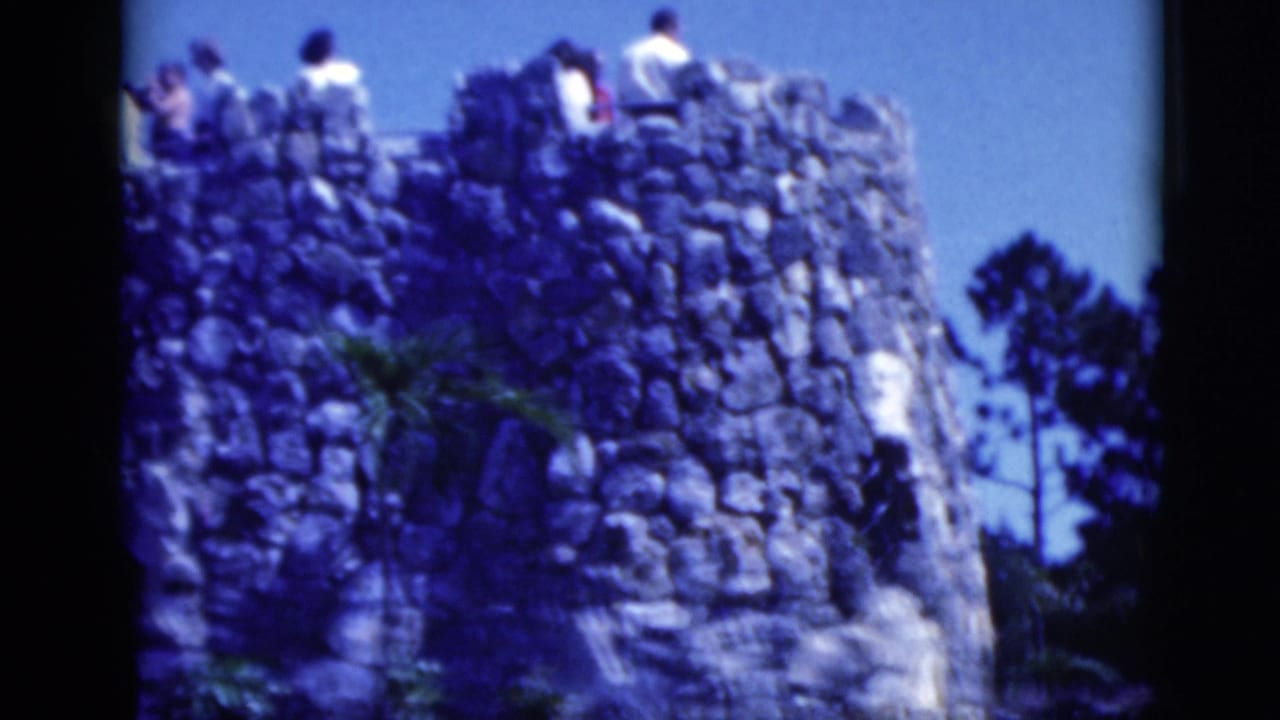 People gather on a rock viewing area above a pond and flamingos.