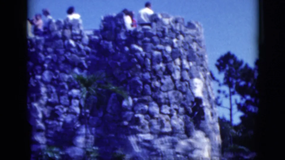 A blue-tinted 8mm view of distant visitors on rockwork above a man-made flamingo habitat in Florida, with palms and water below.
