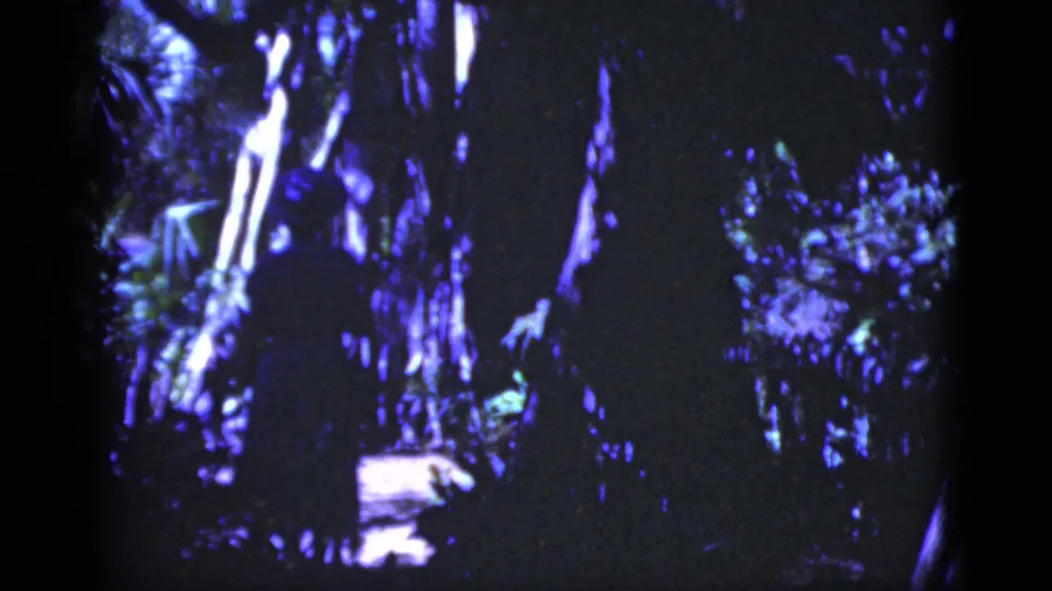 A silhouetted figure appears among dense, blue-tinted Florida foliage, with tree trunks and patches of light visible through the shade.