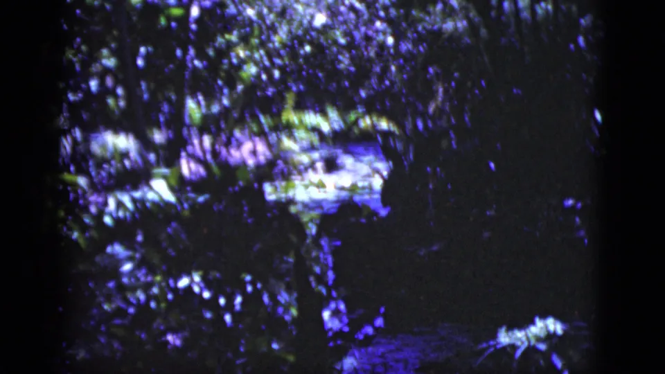 1975 Florida 8mm frame showing shaded foliage, dark tree shapes, and a bright reflective stream or water patch under a strong purple color cast.
