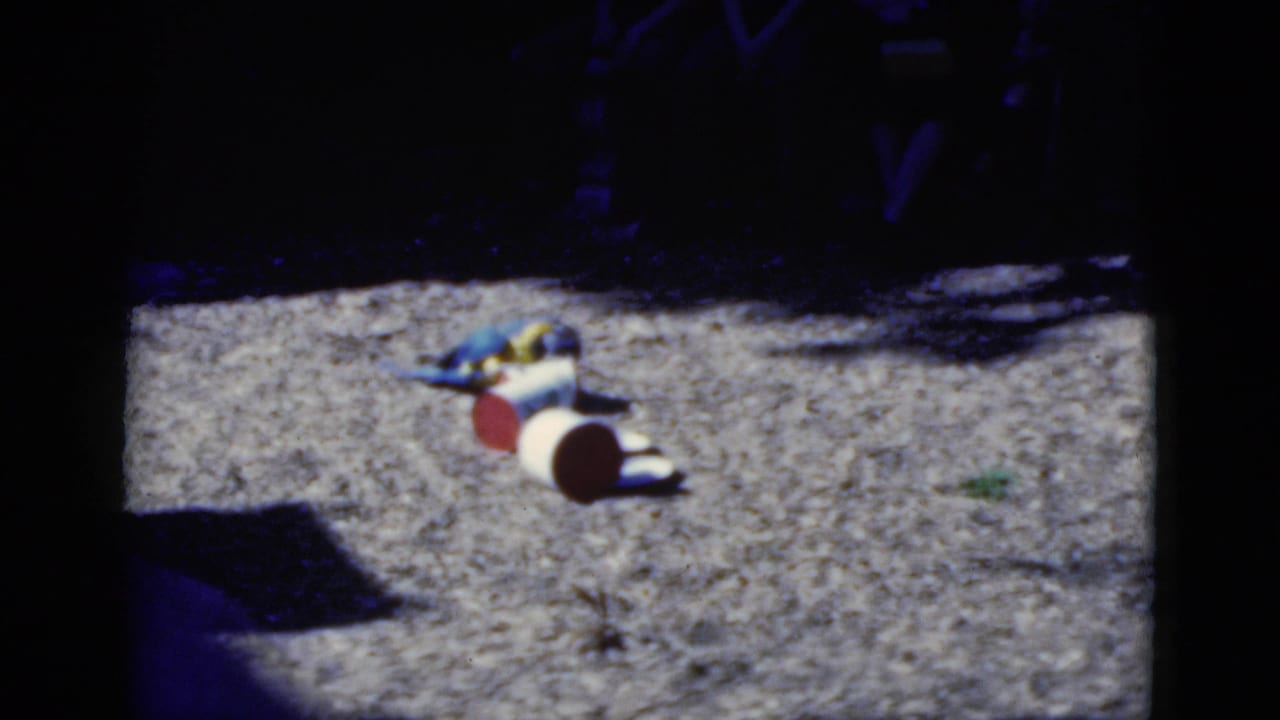The macaw stands beside red and pale overturned pots on a gravel path, with dense shade around the frame.