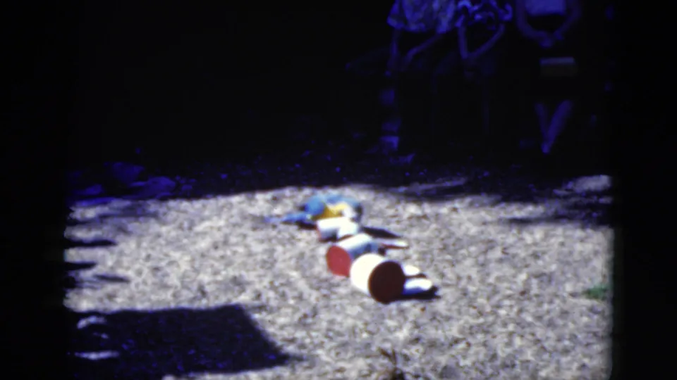 A macaw stays near a short line of overturned pots on gravel, framed by strong shadow and vintage film softness.