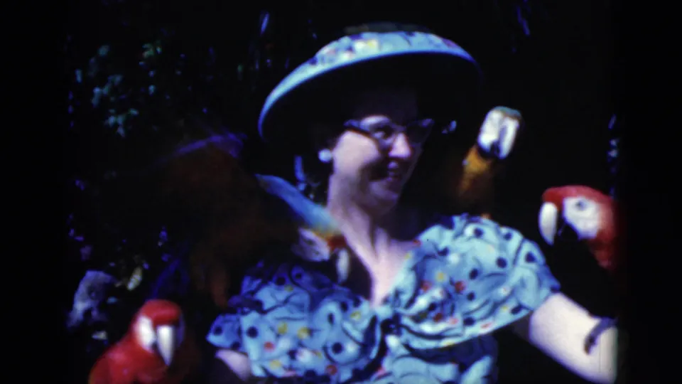 A woman in a wide-brimmed hat and patterned dress smiles as parrots perch on her arms and shoulder in Florida home-movie footage.