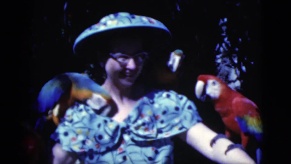 In 1975 Florida 8mm footage, a smiling woman in a blue patterned dress and wide hat holds macaw parrots against a dark tropical backdrop.