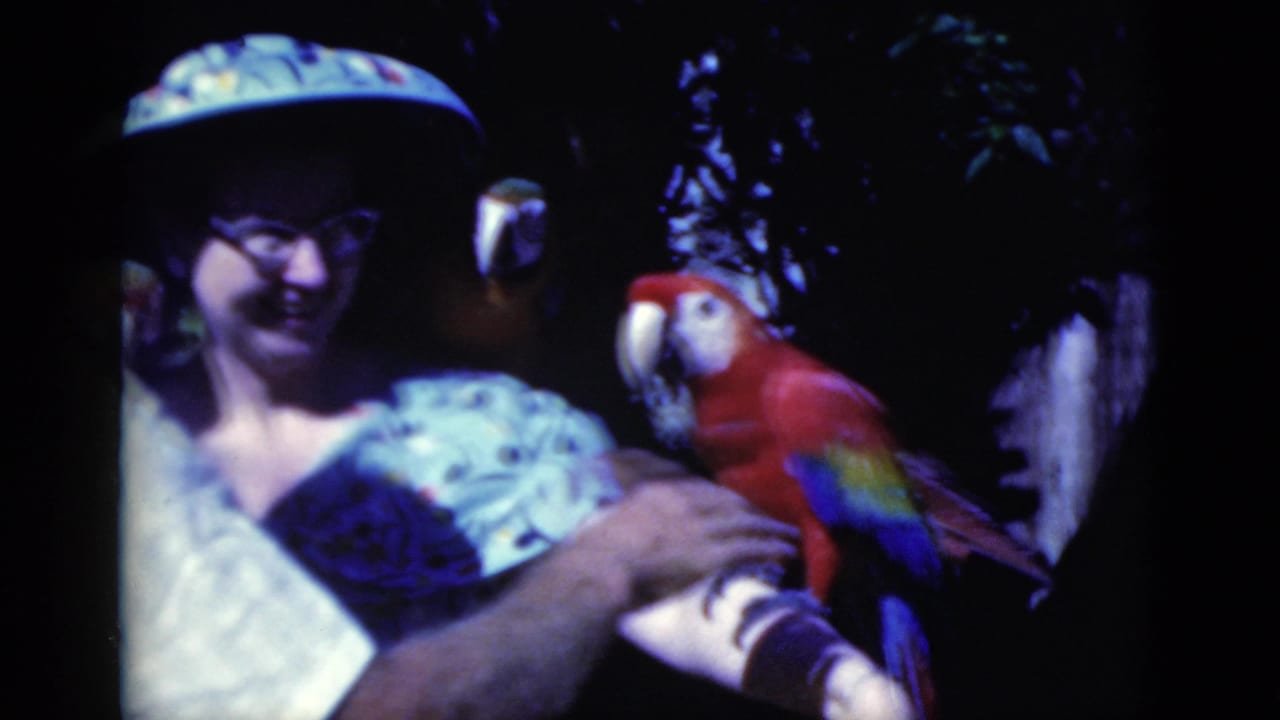 Woman smiles while macaw parrots perch on her arms and shoulder.