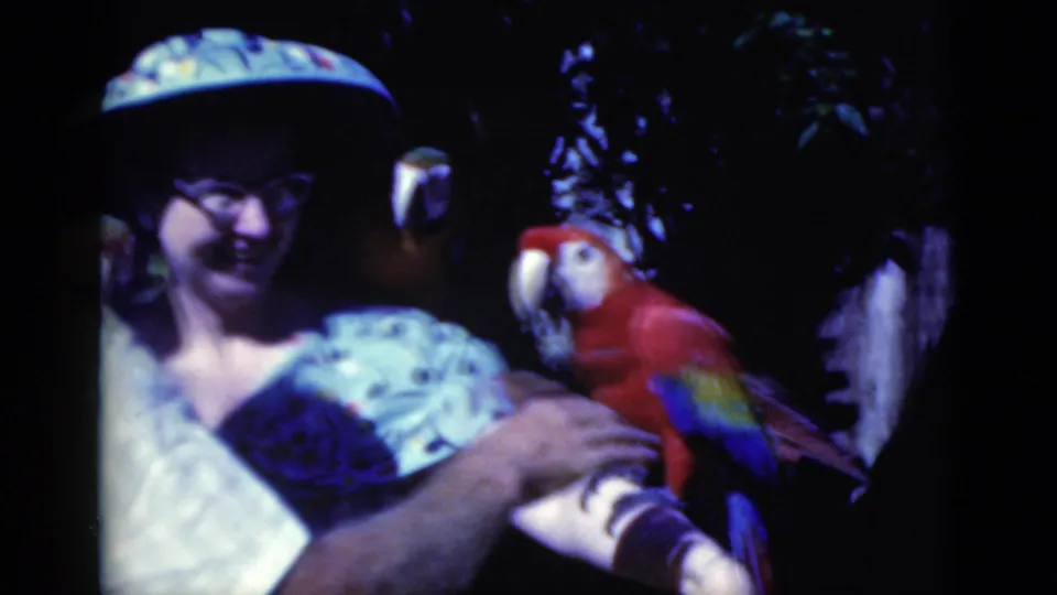 The woman smiles in the 1975 Florida home movie as red and blue-yellow macaws perch close to her arms and shoulder.