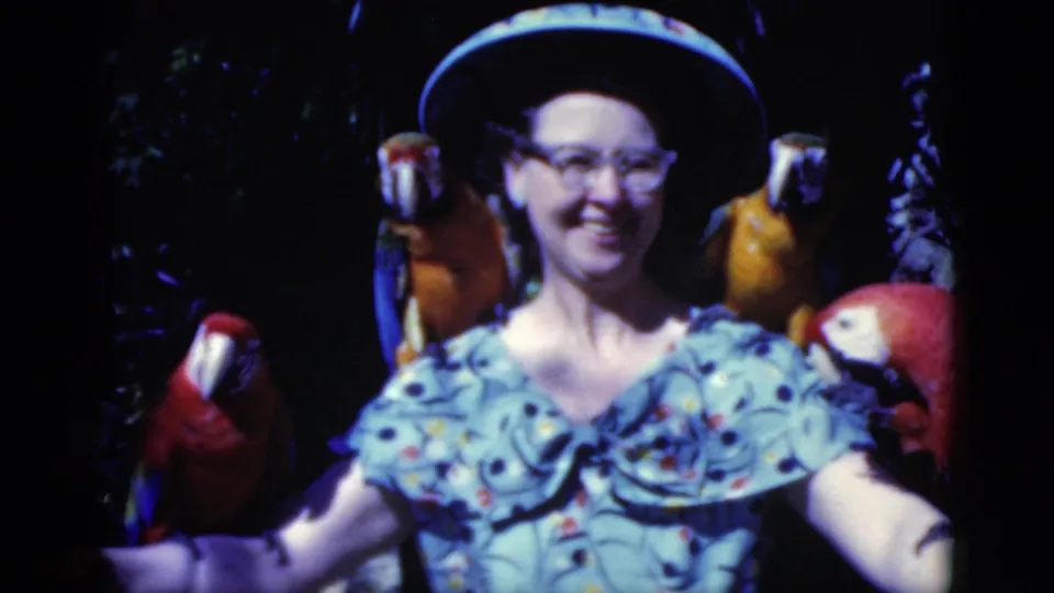 A woman in glasses and a blue patterned dress stands with multiple macaws perched around her shoulders and arms in 1975 Florida footage.