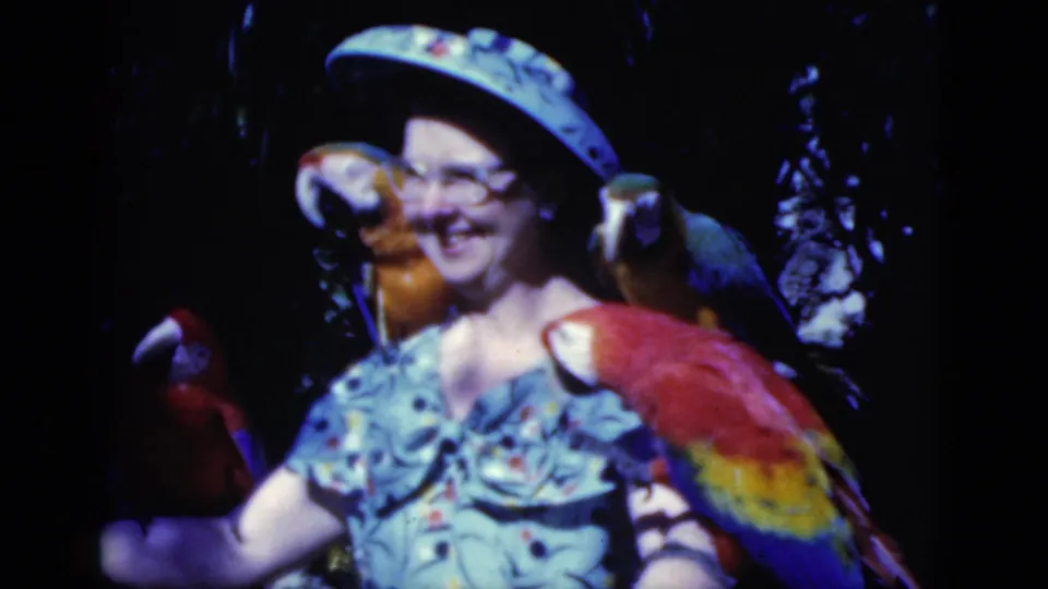 1975 Florida home-movie frame showing a woman smiling as colorful macaws perch on her shoulders and arm in a dim aviary setting.