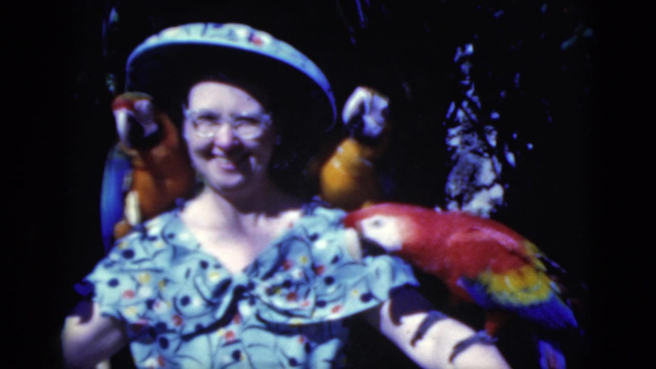 1975 Florida 8mm frame of a smiling woman in a hat with macaws perched around her against a dark indoor aviary backdrop.