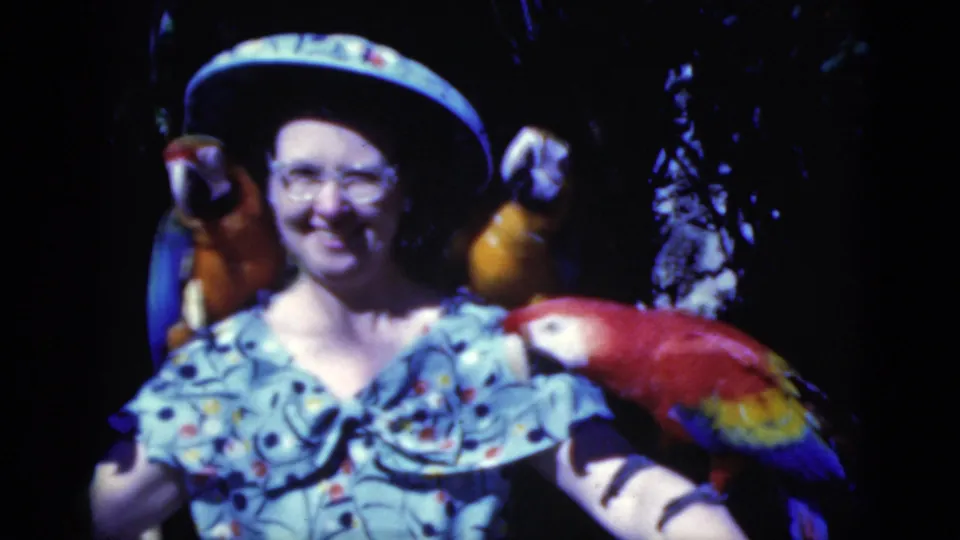 1975 Florida 8mm frame of a smiling woman in a hat with macaws perched around her against a dark indoor aviary backdrop.