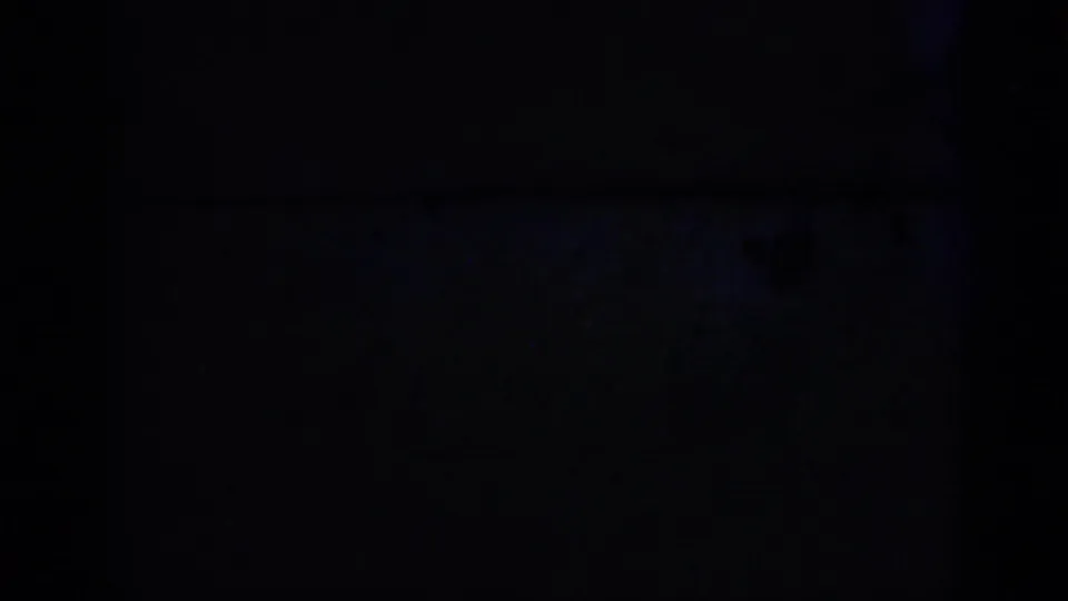 Dark end frame from the 1975 Florida 8mm clip, with the aviary scene largely obscured as the shot transitions or exposure drops.