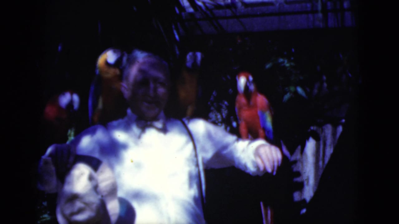 Man in a white shirt and bow tie holds his arms out with parrots perched nearby.