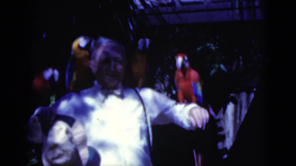 In 1975 Florida home-movie footage, a man in a white shirt and bow tie stands among colorful parrots in dark foliage.