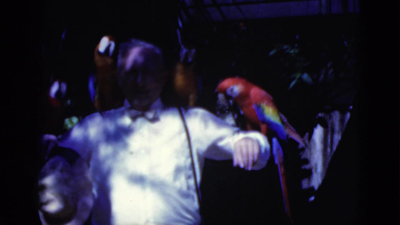 Man smiles with arms out as parrots perch around his shoulders and arms.