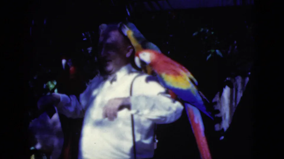 A brightly colored parrot perches on the man's shoulder while another bird is partly visible beside him in the Florida vacation footage.