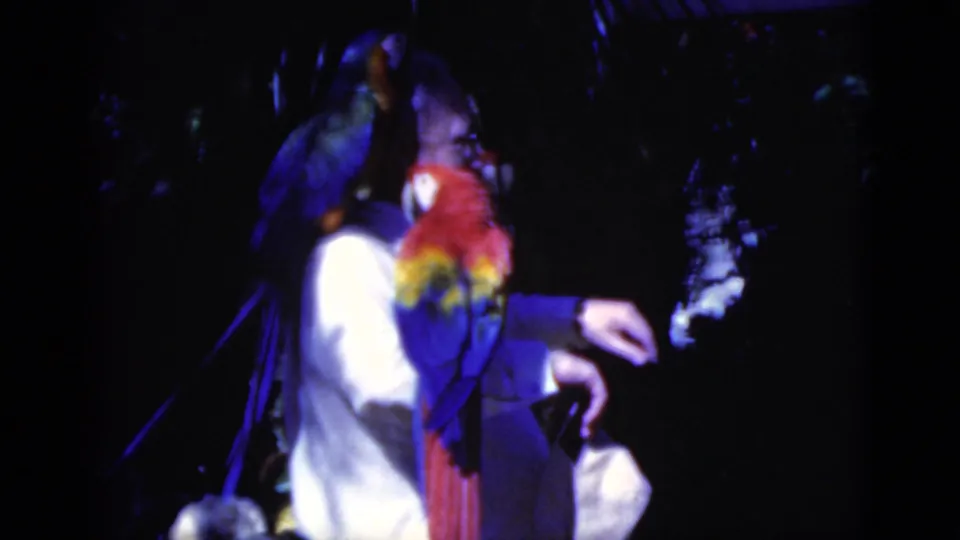 1975 Florida 8mm frame showing an adult man in a white shirt with bright macaws perched close around him in dim foliage.