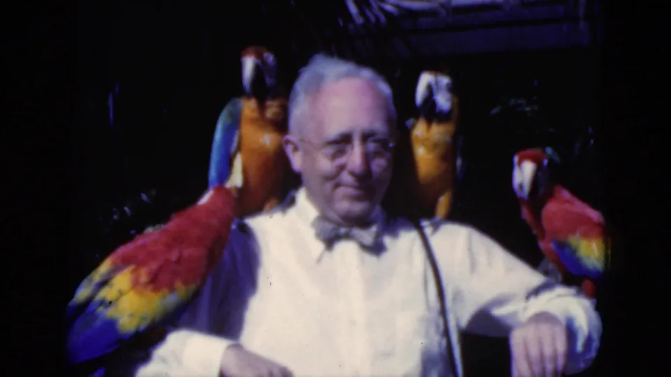 1975 Florida 8mm frame showing an older adult man facing the camera while several colorful macaws perch around him.