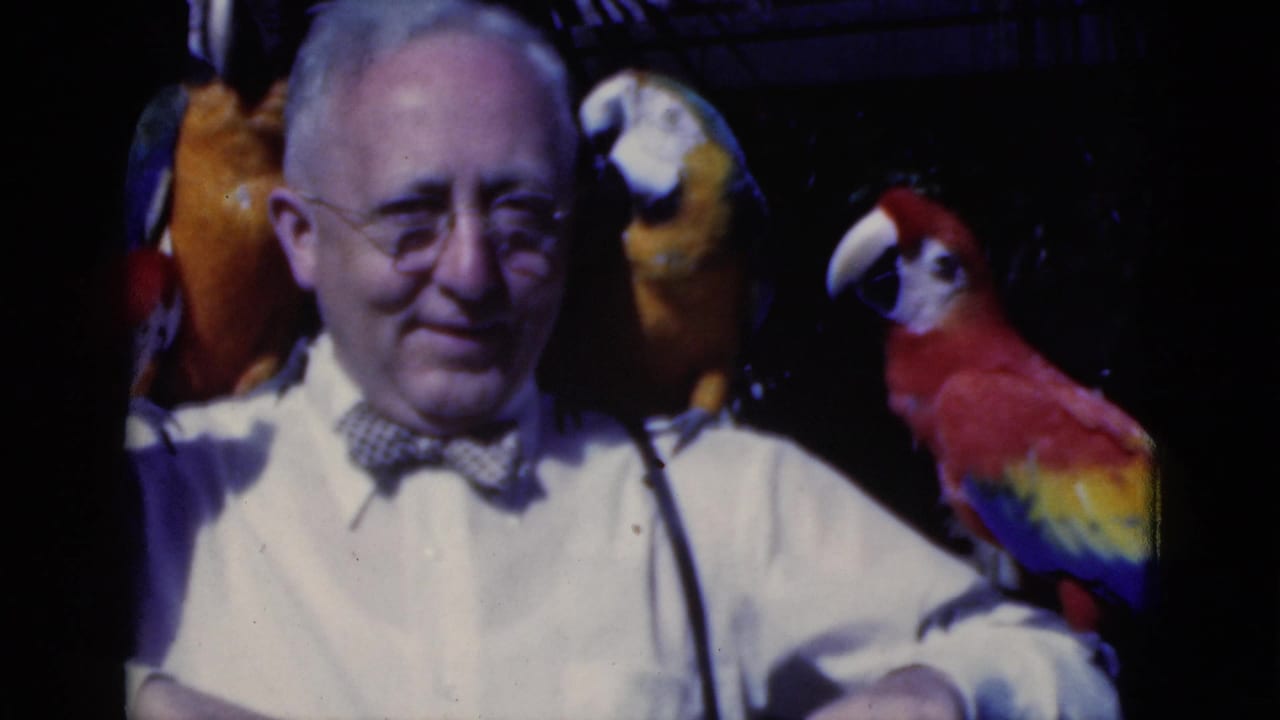 1975 Florida 8mm frame of an older man in a white shirt and bow tie with red, yellow, and blue parrots nearby.