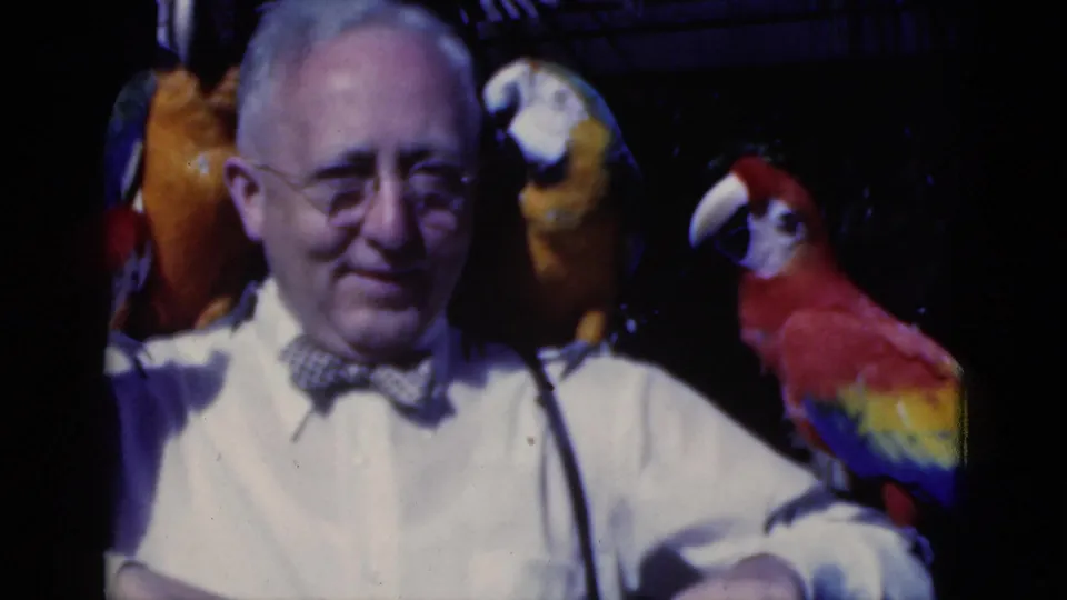 1975 Florida 8mm frame of an older man in a white shirt and bow tie with red, yellow, and blue parrots nearby.