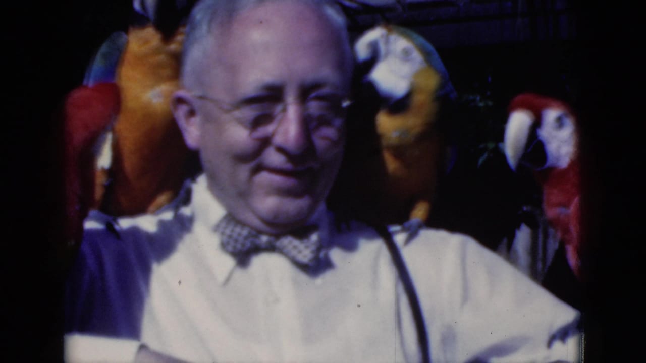 Vintage 8mm frame from Florida showing a man in glasses surrounded by red, yellow, and blue parrots in dim light.