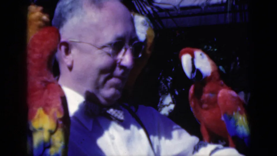 1975 Florida home-movie frame with a side view of a man in glasses looking toward a red macaw, with another parrot close by.