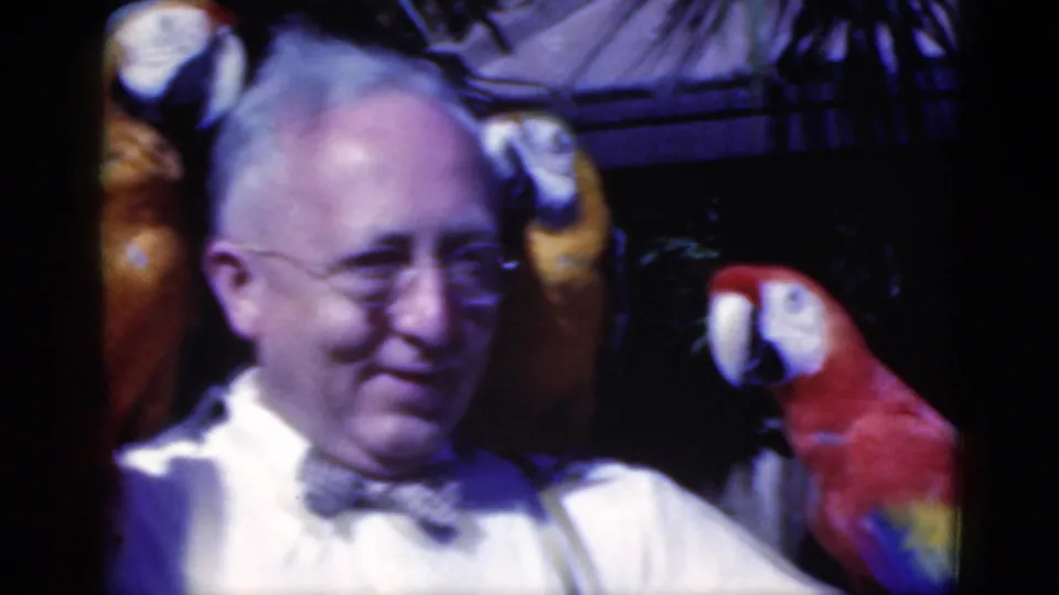 1975 Florida 8mm frame of an older man smiling as red, yellow, and blue macaws gather around his shoulders and head.