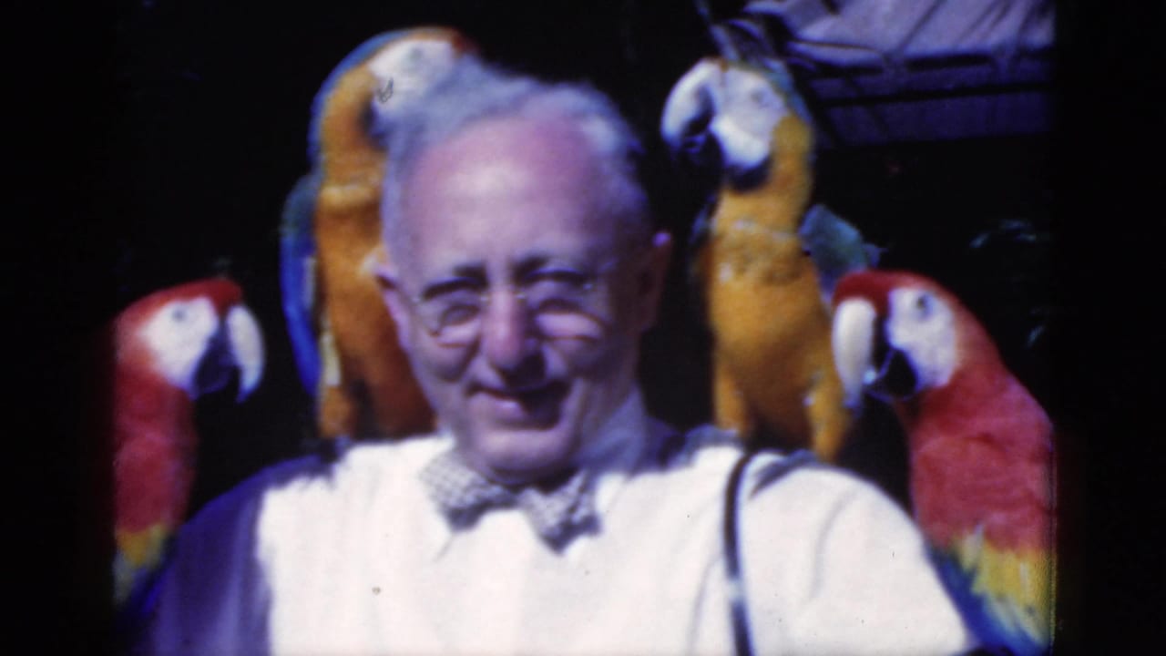 Older man smiling with several macaws perched around his shoulders and above his head.