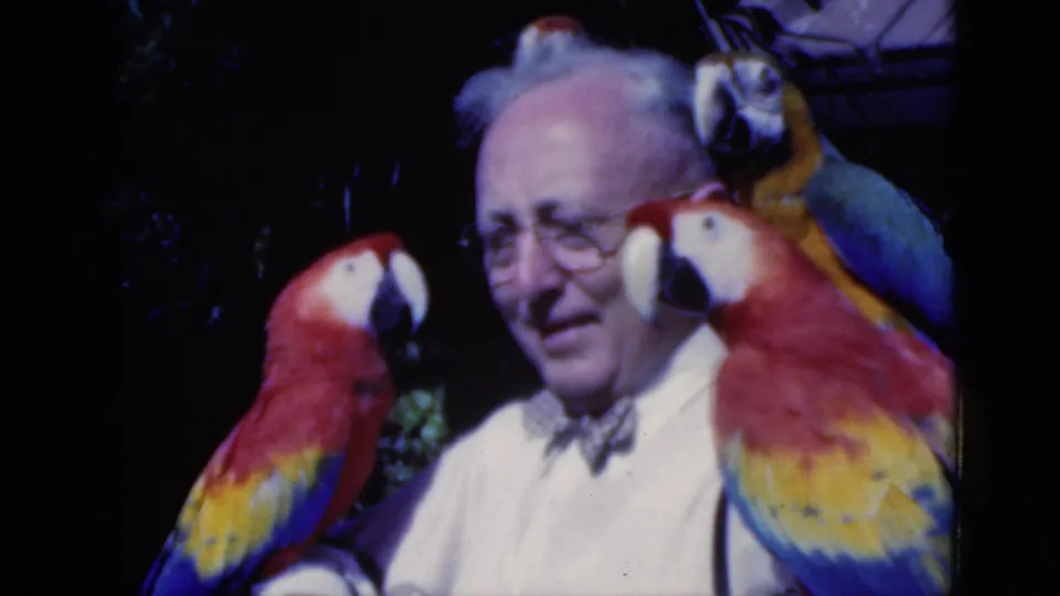 1975 Florida 8mm frame with an older man and two red macaws close to his shoulders, with another blue-and-yellow bird behind him.