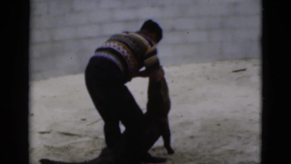 The man continues restraining the crocodile in a sandy Florida enclosure, with a plain block wall behind them.