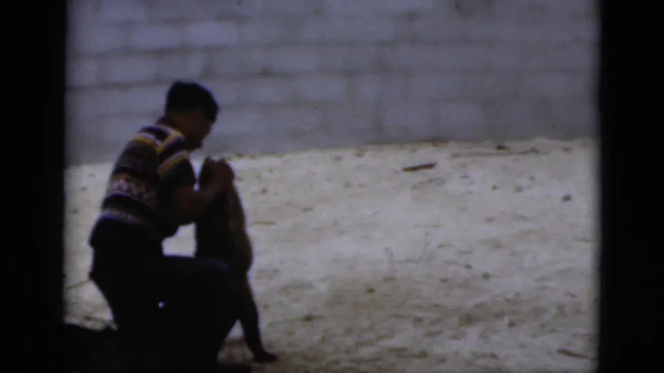 A man kneels beside the crocodile in the 1975 Florida home movie, holding it close on sandy ground.