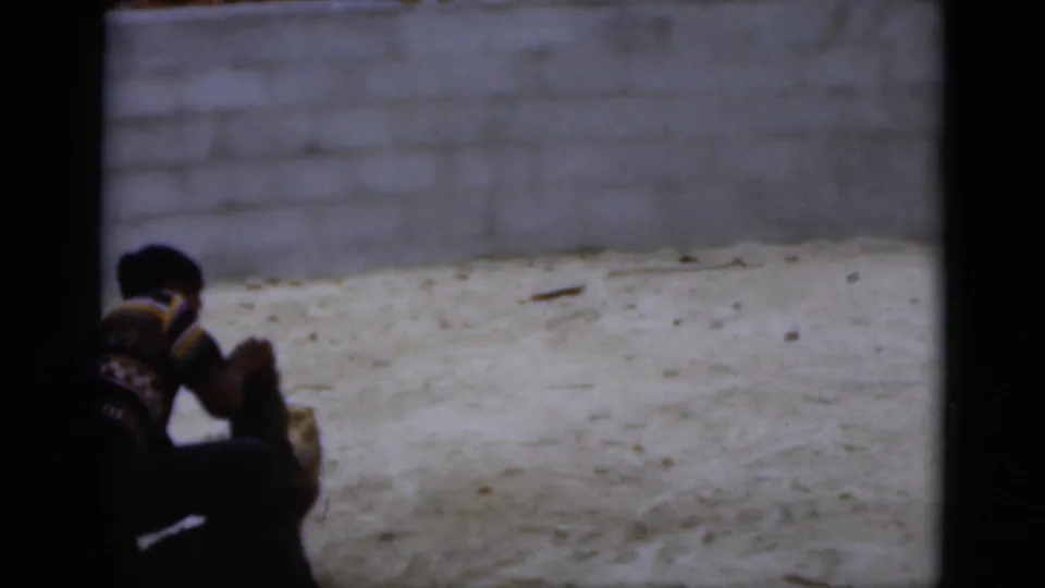 The final frame shows the man kneeling low with the crocodile in a sandy enclosure, partly obscured by dark exposure.