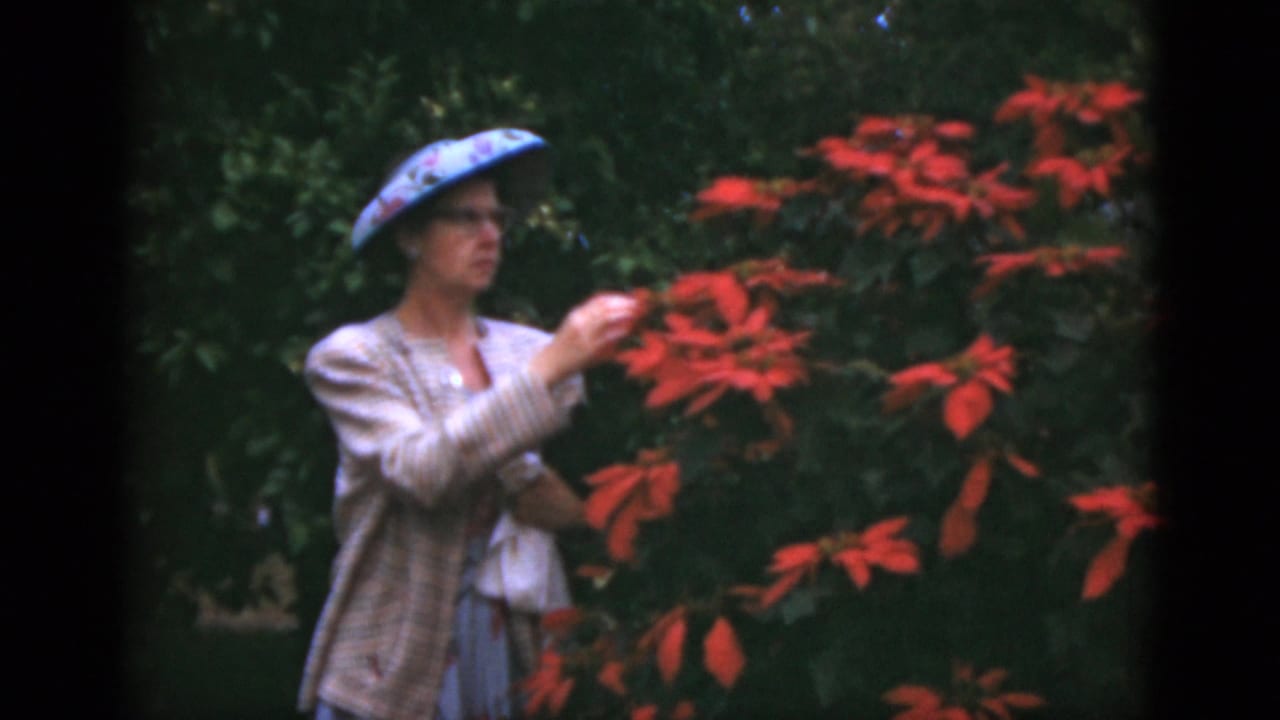 Adult woman in a patterned hat reaches toward red garden blooms.