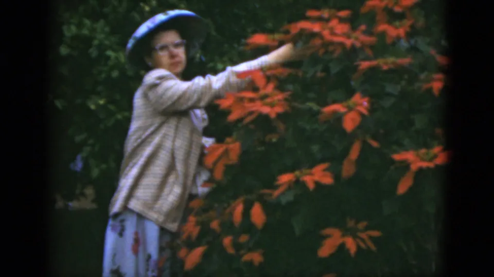1975 Florida home-movie frame of an adult woman in eyeglasses, a patterned hat, and a light jacket touching red blooms while facing near the camera.