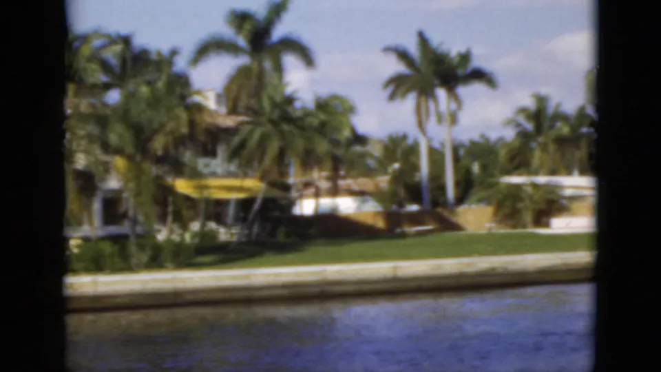The camera passes more palm-lined waterfront property in Florida, with houses, lawns, seawalls, and rippled water in view.