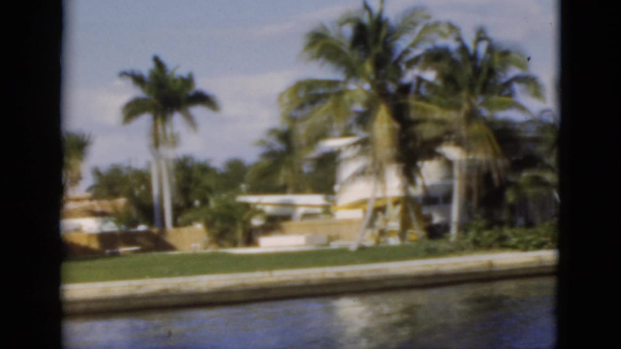 White waterfront residence partly hidden by tall palms along a canal.