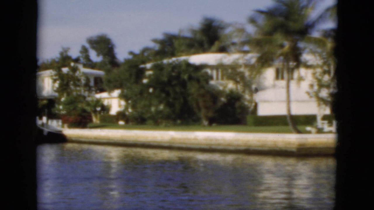 Waterfront houses and dense palm landscaping line a canal seen from a moving boat.