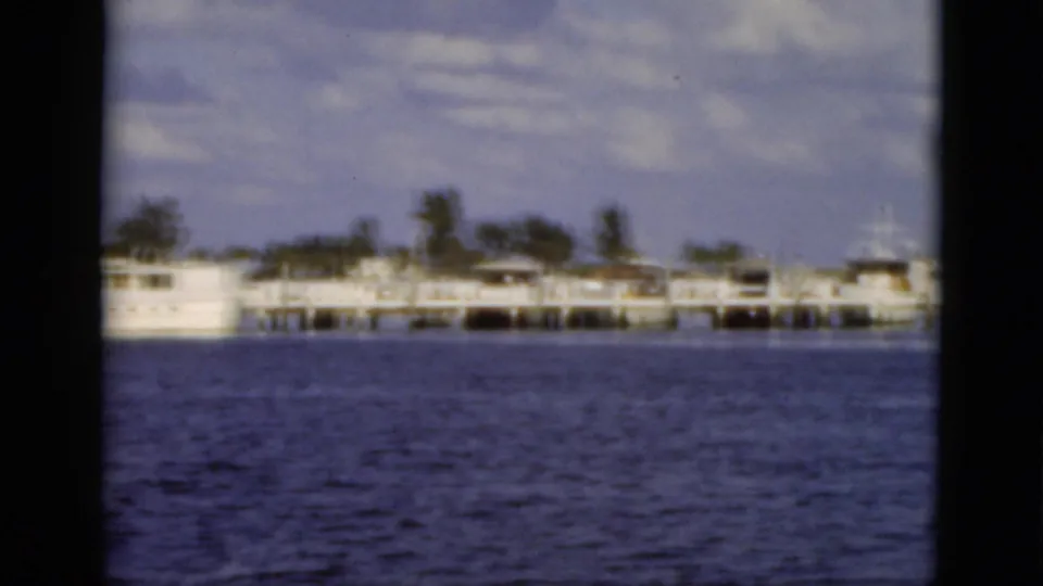 1975 Florida 8mm view of a long pier, small docked boats, palm trees, and blue water seen from a moving boat.
