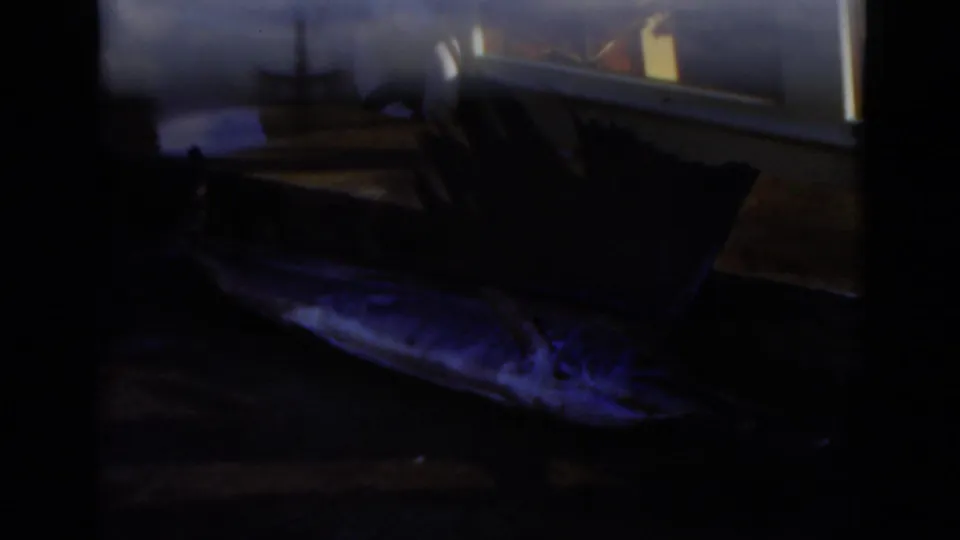 Dim 1975 8mm frame showing a large fish on a dark surface, likely connected to the boating and fishing trip shown in the clip.