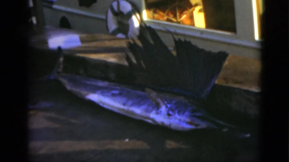 1975 Florida 8mm frame showing a dead sailfish laid on concrete beside a window, with a life preserver partly visible behind it.