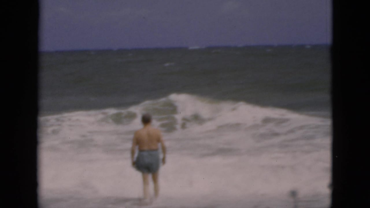 Man in blue swim trunks stands near breaking ocean surf with his back to the camera.