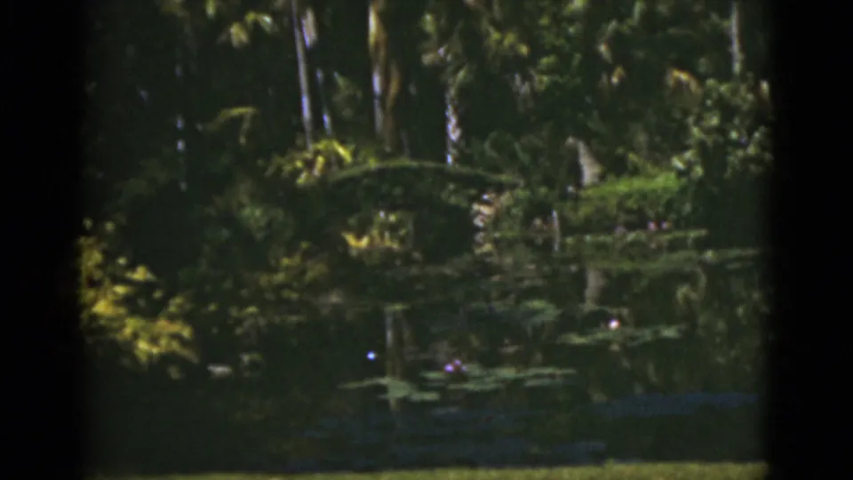 1975 Florida home-movie frame showing a tropical garden pond with lily pads, palms, and shaded greenery reflected in the water.