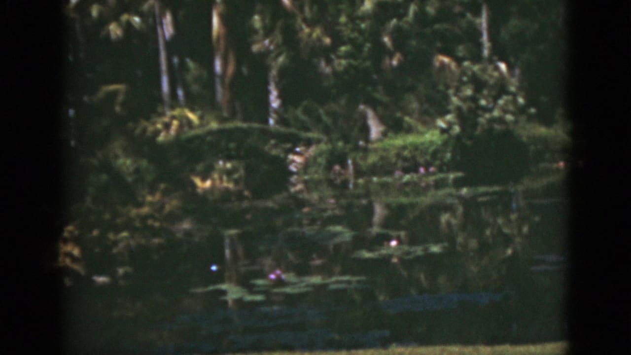 1975 Florida 8mm view of a tropical garden pond with lily pads, pink blooms, palms, and dark green reflections.