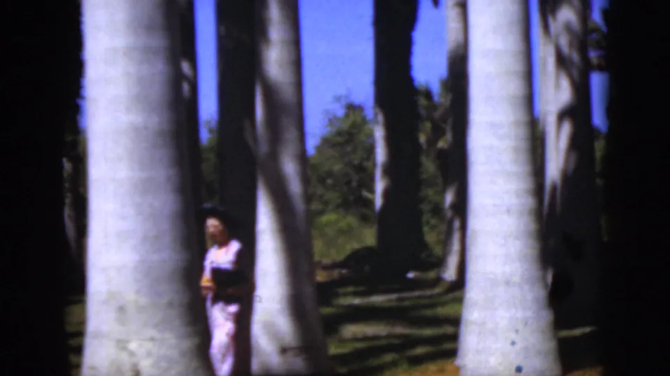 1975 Florida home-movie frame of a woman near a large palm trunk, surrounded by strong sun and deep tree shadows.