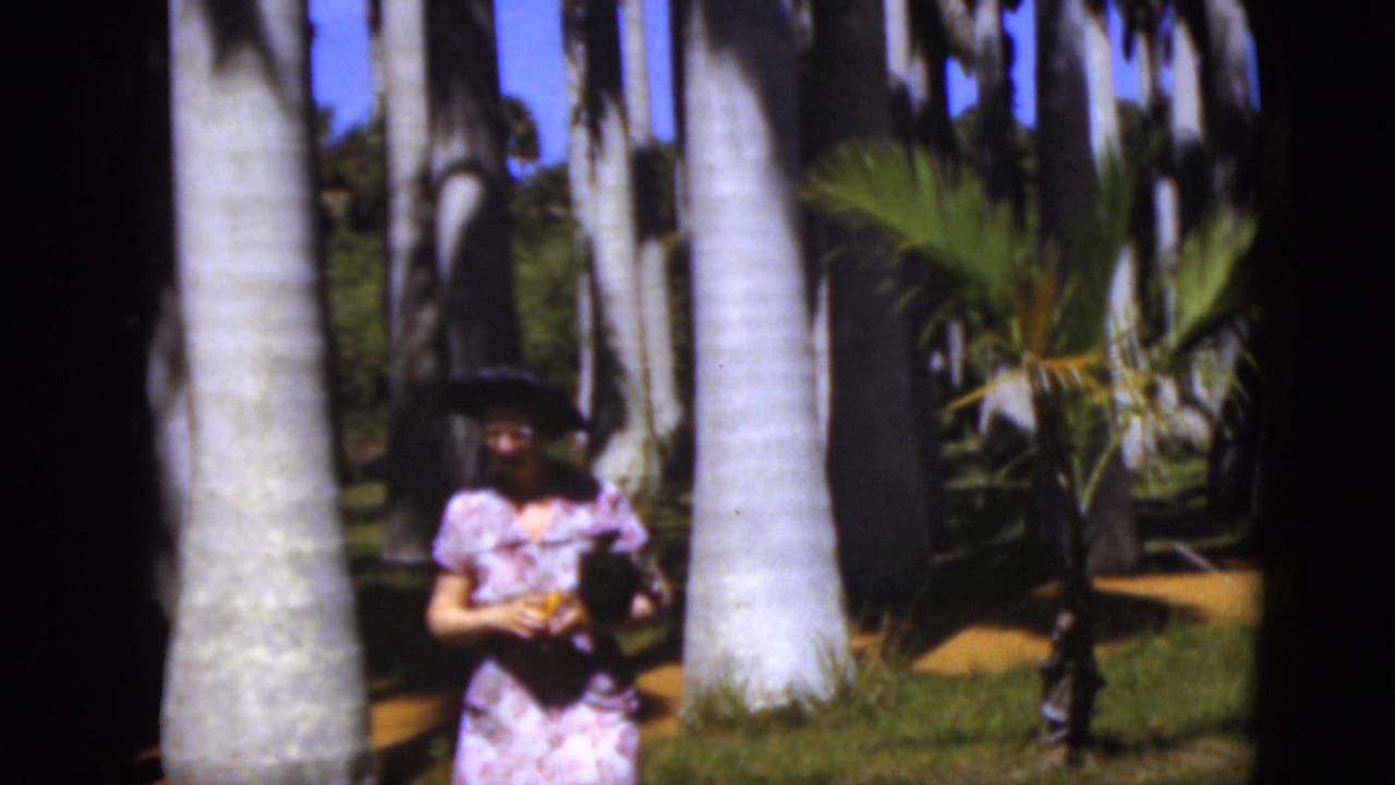 Woman in a floral dress and dark hat walking among tall palm trees.