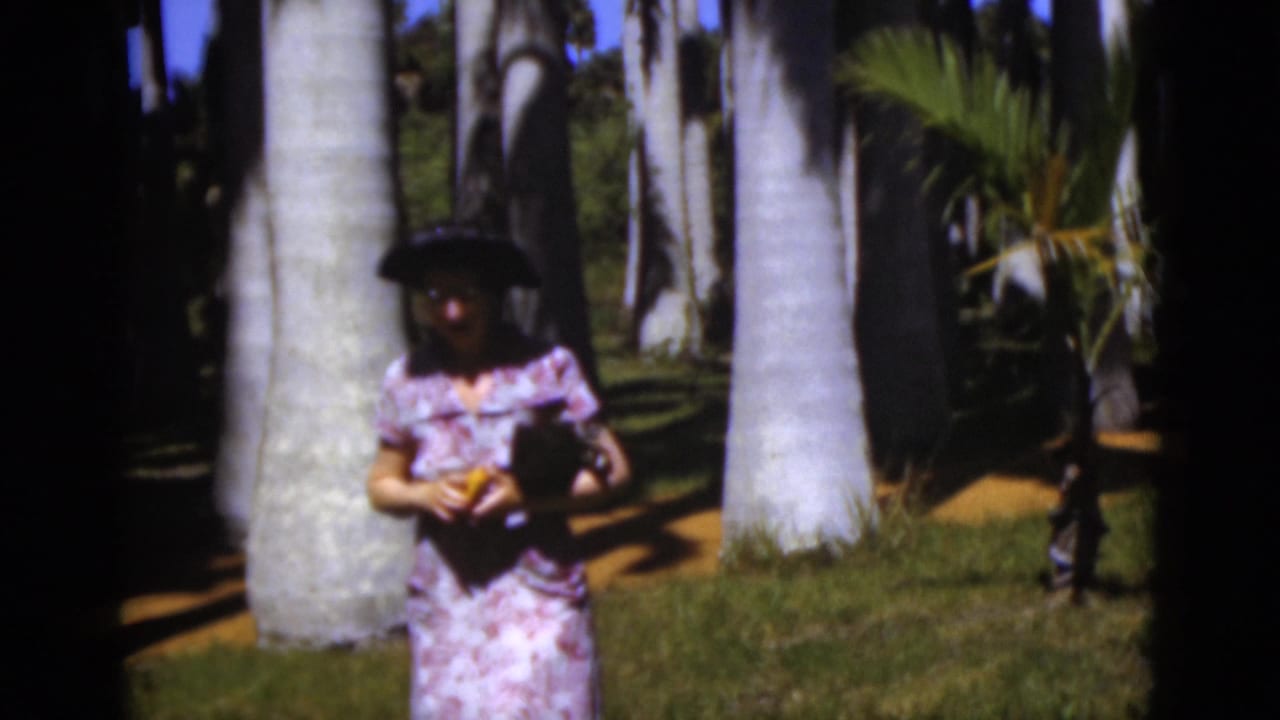 In the Florida grove, the woman in a floral dress and hat is seen closer among tall pale palm trunks and grass.